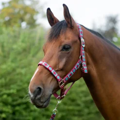 Hy Equestrian Woven Polo Head Collar and Lead Rope