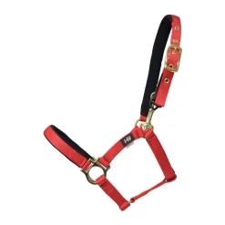 Hy Fieldsafe Small Pony & Foal Head Collar