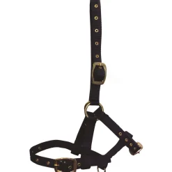 Hy Foal Head Collar