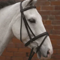 Hy Padded Flash Bridle with Rubber Grip Reins