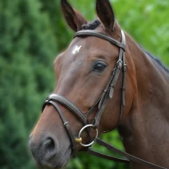 Hy Padded Flash Bridle with Rubber Grip Reins
