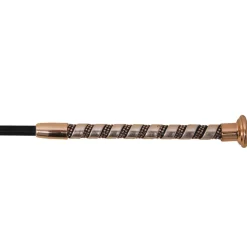 HySCHOOL Allure Dressage Whip