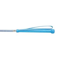 HySCHOOL Metallic Riding Whip