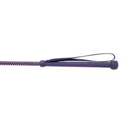 HySCHOOL Metallic Riding Whip