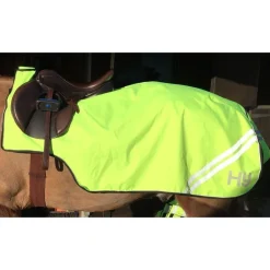 HyVIZ Reflector Exercise Sheet