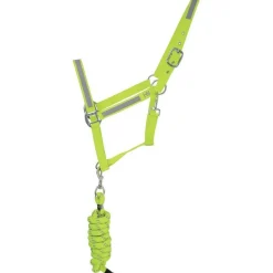 HyVIZ Reflector Head Collar and Lead Rope