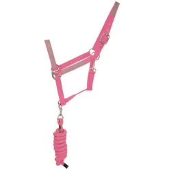 HyVIZ Reflector Head Collar and Lead Rope