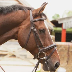 KM Elite Competition Bridle