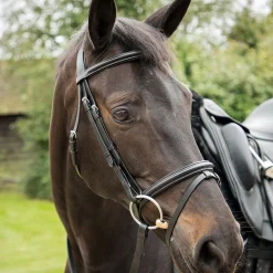 KM Elite Competition Bridle