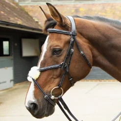 KM Elite Leather Grackle Bridle