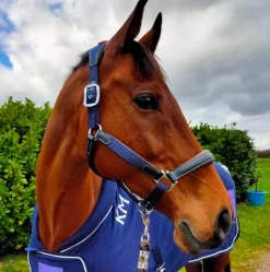 KM Elite Leather Webbing Headcollar