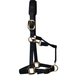 KM Elite Padded Headcollar