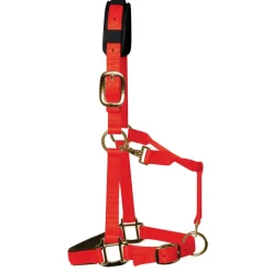 KM Elite Padded Headcollar