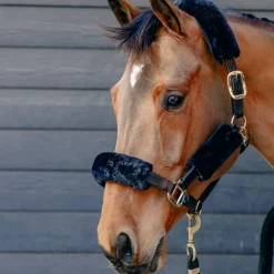KM Elite Teddy Soft Headstall Set
