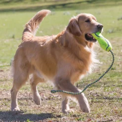 KONG AirDog Fetch Stick With Rope