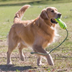 KONG AirDog Fetch Stick With Rope
