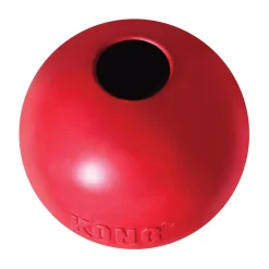 KONG Ball With Hole