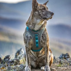 Kurgo Journey Air Harness