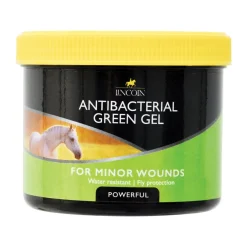 Lincoln Antibacterial Green Gel