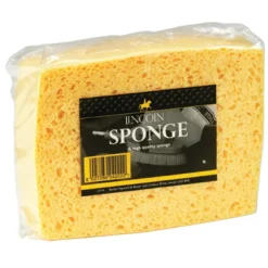 Lincoln Sponge