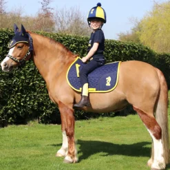 Little Knight Lancelot Saddle Pad