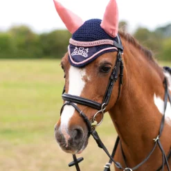 Little Rider The Princess and the Pony Fly Veil
