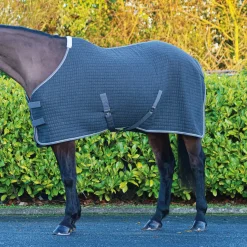 Mackey Aran Thermo Rug