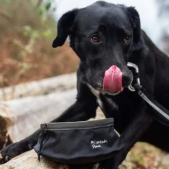 Mountain Paws Collapsible Dog Food Bowl