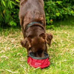 Mountain Paws Collapsible Dog Water Bowl