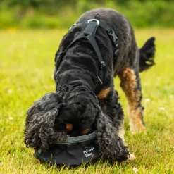 Mountain Paws Collapsible Dog Water Bowl