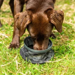 Mountain Paws Collapsible Dog Water Bowl