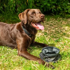 Mountain Paws Collapsible Dog Water Bowl