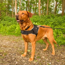 Mountain Paws Extra Tough Dog Harness