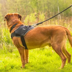 Mountain Paws Extra Tough Dog Harness