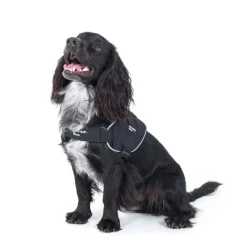 Mountain Paws Extra Tough Dog Harness
