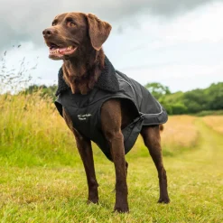Mountain Paws Fleece Lined Dog Raincoat