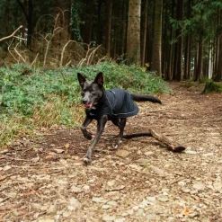 Mountain Paws Fleece Lined Dog Raincoat
