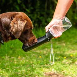 Mountain Paws Folding Dog Water Bottle