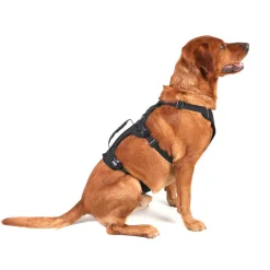 Mountain Paws 3-Strap Dog Harness