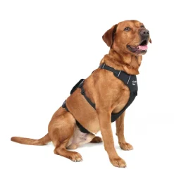 Mountain Paws 3-Strap Dog Harness
