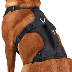Mountain Paws 3-Strap Dog Harness