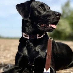 Pampeano Dog Lead