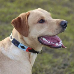 Pampeano Pampa Dog Collar