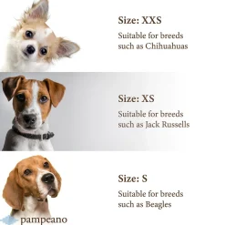 Pampeano Pampa Dog Collar
