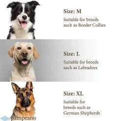 Pampeano Pampa Dog Collar