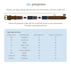 Pampeano Pampa Dog Collar