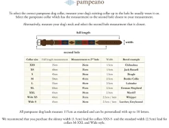 Pampeano Pampa Dog Collar