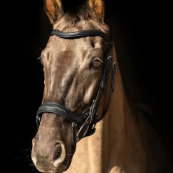 ProPresicce Pelle Drop Leather Bridle by Hy Equestrian