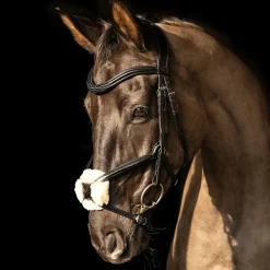 ProPresicce Pelle Grackle Leather Bridle by Hy Equestrian