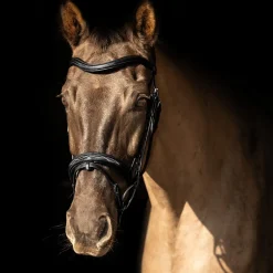 ProPresicce Pelle Raised Flash Leather Bridle by Hy Equestrian